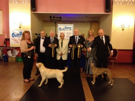 Best Puppy In Match and Best Adult at The Great Northern Charity Knockout 2012